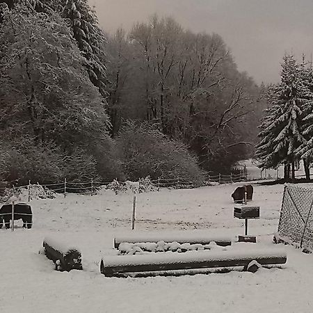 Muehlenhof Stadtkyll Bagian luar foto