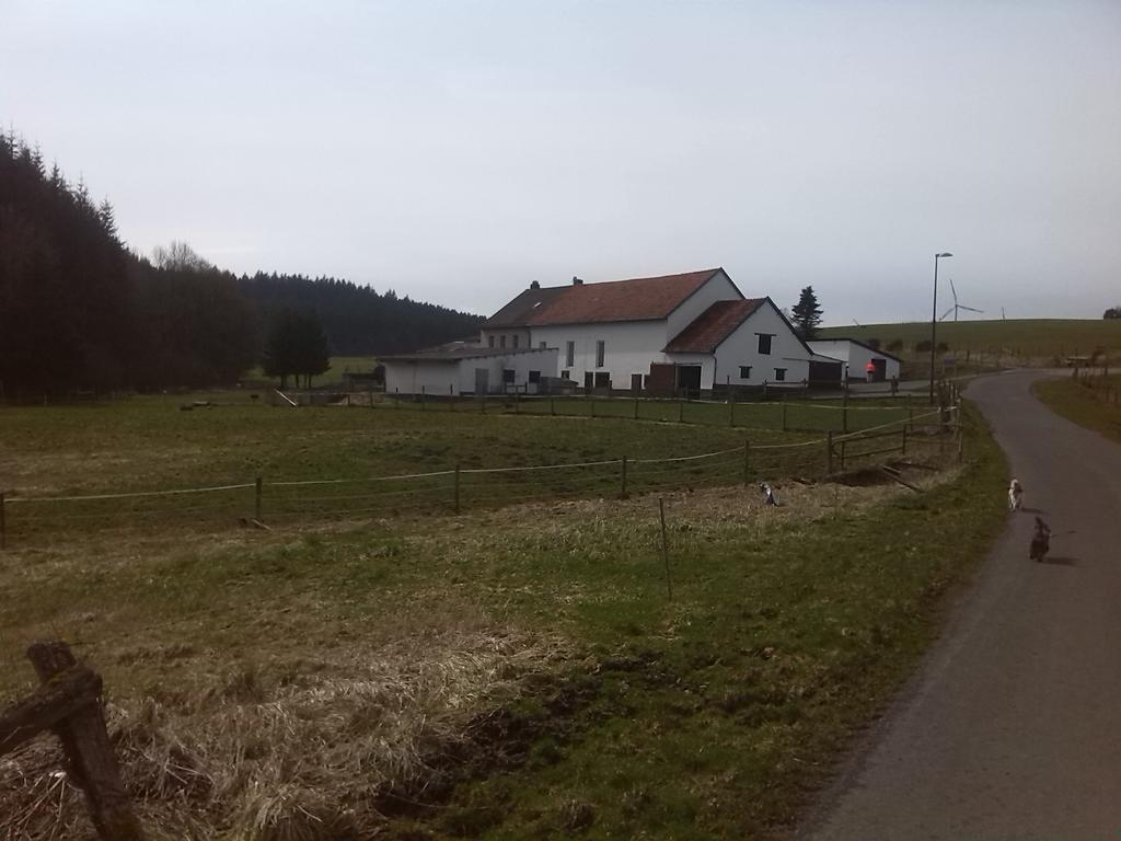 Muehlenhof Stadtkyll Bagian luar foto