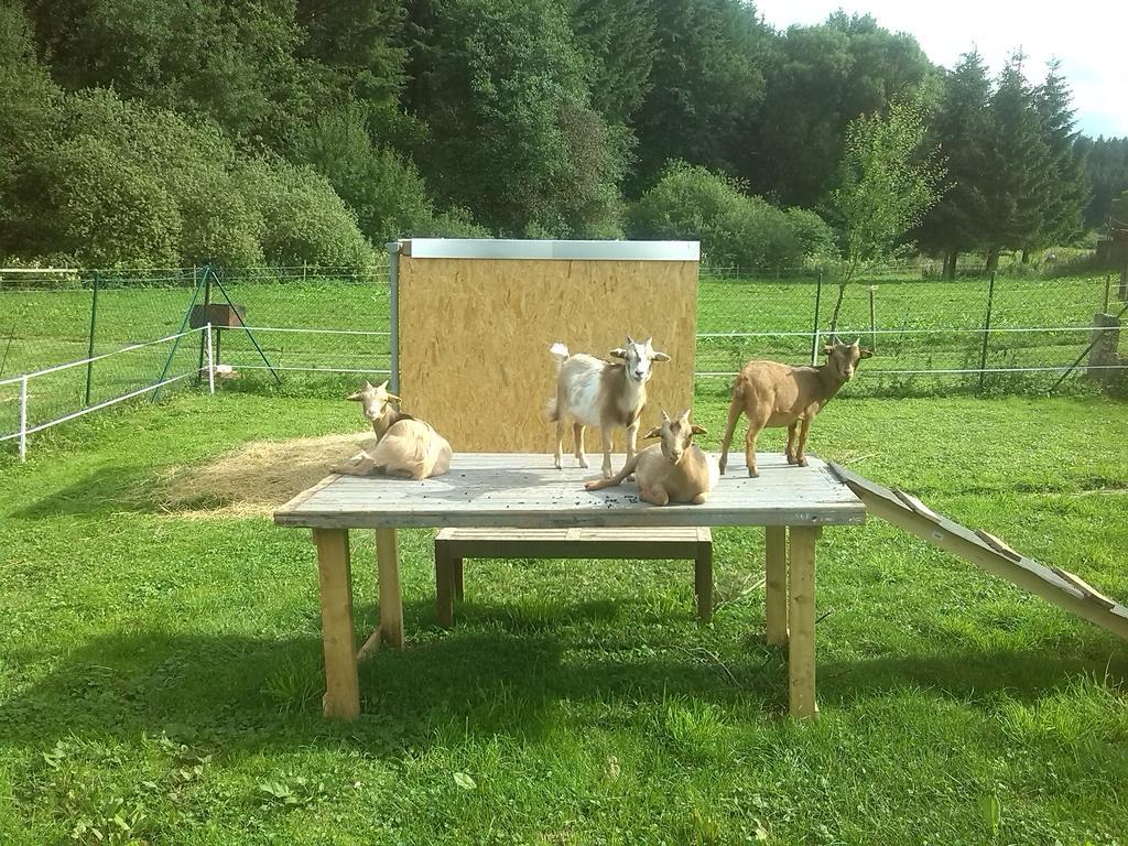 Muehlenhof Stadtkyll Bagian luar foto