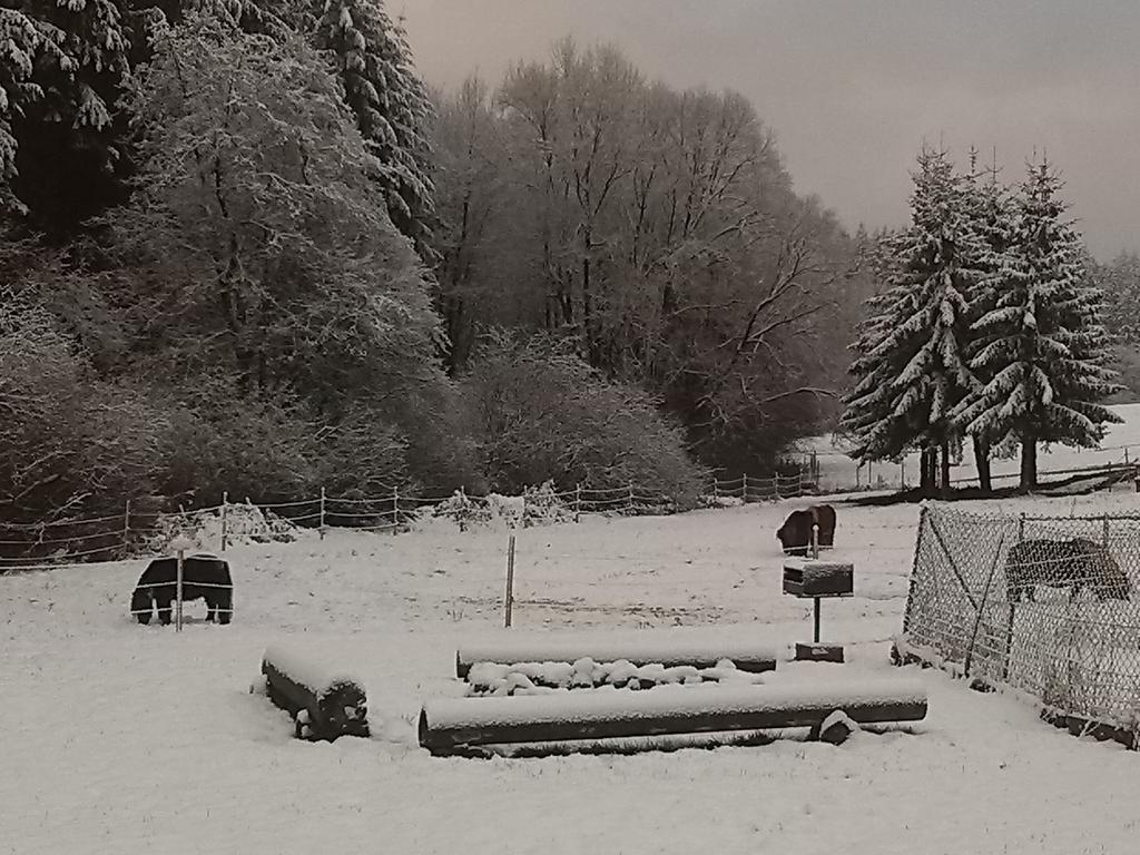 Muehlenhof Stadtkyll Bagian luar foto